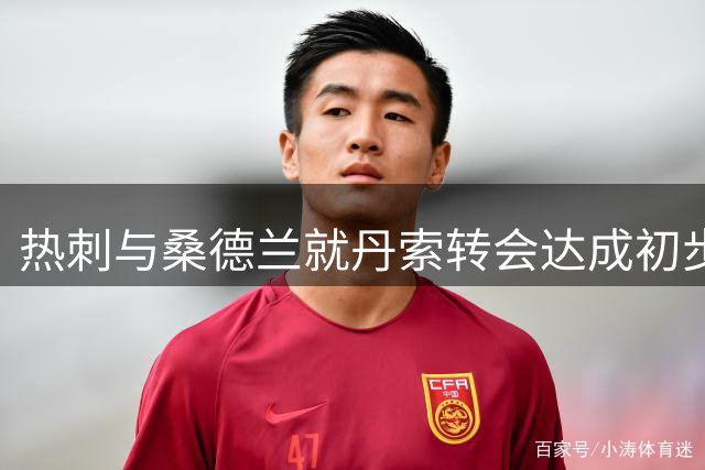 热刺与桑德兰就丹索转会达成初步共识